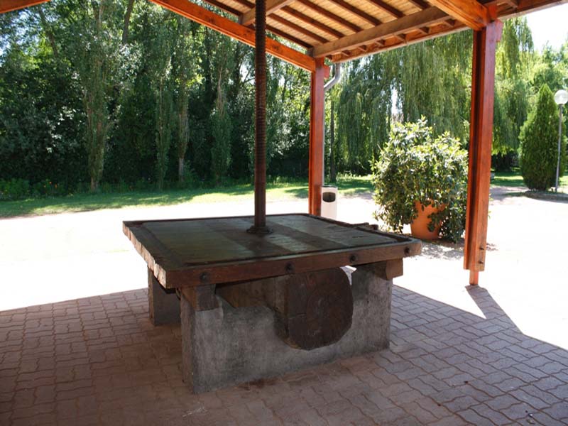 Le Domaine de la Source_42300 ROANNE_9